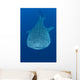Whale Shark Cenderawasih Bay Wall Decal Design 1