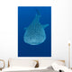 Whale Shark Cenderawasih Bay Wall Decal Design 1