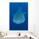 Whale Shark Cenderawasih Bay Wall Decal Design 1