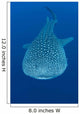 Whale Shark Cenderawasih Bay Wall Decal Design 1
