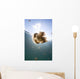 Sunrays Illuminate Jellyfish Kakaban Wall Decal Design 8