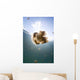 Sunrays Illuminate Jellyfish Kakaban Wall Decal Design 8