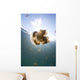 Sunrays Illuminate Jellyfish Kakaban Wall Decal Design 8