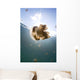 Sunrays Illuminate Jellyfish Kakaban Wall Decal Design 8
