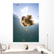 Sunrays Illuminate Jellyfish Kakaban Wall Decal Design 8