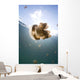 Sunrays Illuminate Jellyfish Kakaban Wall Decal Design 8