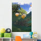 Jellyfish Surface Kakaban Island Wall Decal Design 2
