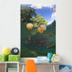 Jellyfish Surface Kakaban Island Wall Decal Design 2