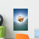 Sunrays Illuminate Jellyfish Kakaban Wall Decal Design 7