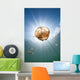 Sunrays Illuminate Jellyfish Kakaban Wall Decal Design 7