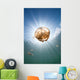 Sunrays Illuminate Jellyfish Kakaban Wall Decal Design 7