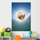 Sunrays Illuminate Jellyfish Kakaban Wall Decal Design 7