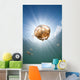 Sunrays Illuminate Jellyfish Kakaban Wall Decal Design 7