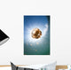 Sunrays Illuminate Jellyfish Kakaban Wall Decal Design 6