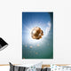 Sunrays Illuminate Jellyfish Kakaban Wall Decal Design 6
