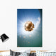Sunrays Illuminate Jellyfish Kakaban Wall Decal Design 6