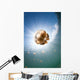 Sunrays Illuminate Jellyfish Kakaban Wall Decal Design 6