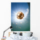 Sunrays Illuminate Jellyfish Kakaban Wall Decal Design 6