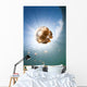 Sunrays Illuminate Jellyfish Kakaban Wall Decal Design 6