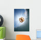 Sunrays Illuminate Jellyfish Kakaban Wall Decal Design 5