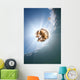Sunrays Illuminate Jellyfish Kakaban Wall Decal Design 5