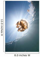 Sunrays Illuminate Jellyfish Kakaban Wall Decal Design 5