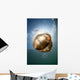 Sunrays Illuminate Jellyfish Kakaban Wall Decal Design 4