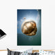 Sunrays Illuminate Jellyfish Kakaban Wall Decal Design 4