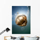 Sunrays Illuminate Jellyfish Kakaban Wall Decal Design 4