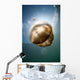 Sunrays Illuminate Jellyfish Kakaban Wall Decal Design 4