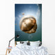 Sunrays Illuminate Jellyfish Kakaban Wall Decal Design 4
