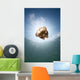 Sunrays Illuminate Jellyfish Kakaban Wall Decal Design 3