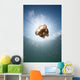 Sunrays Illuminate Jellyfish Kakaban Wall Decal Design 3