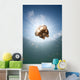 Sunrays Illuminate Jellyfish Kakaban Wall Decal Design 3
