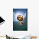 Sunrays Illuminate Jellyfish Kakaban Wall Decal Design 2