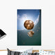 Sunrays Illuminate Jellyfish Kakaban Wall Decal Design 2