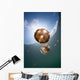 Sunrays Illuminate Jellyfish Kakaban Wall Decal Design 2