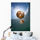 Sunrays Illuminate Jellyfish Kakaban Wall Decal Design 2
