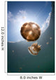 Sunrays Illuminate Jellyfish Kakaban Wall Decal Design 2