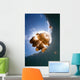 Sunrays Illuminate Jellyfish Kakaban Wall Decal Design 1