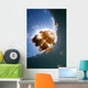 Sunrays Illuminate Jellyfish Kakaban Wall Decal Design 1