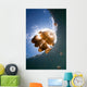 Sunrays Illuminate Jellyfish Kakaban Wall Decal Design 1