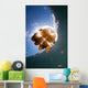 Sunrays Illuminate Jellyfish Kakaban Wall Decal Design 1
