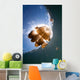 Sunrays Illuminate Jellyfish Kakaban Wall Decal Design 1
