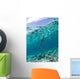 Sea Krait Surfacing for Wall Decal