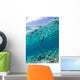 Sea Krait Surfacing for Wall Decal