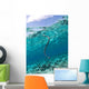Sea Krait Surfacing for Wall Decal