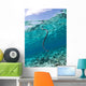 Sea Krait Surfacing for Wall Decal