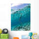 Sea Krait Surfacing for Wall Decal