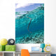 Sea Krait Surfacing for Wall Decal